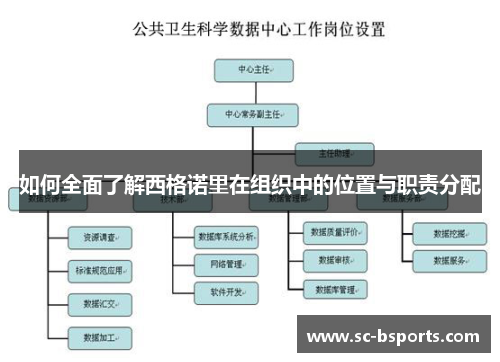 如何全面了解西格诺里在组织中的位置与职责分配