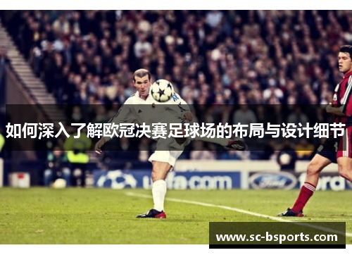 如何深入了解欧冠决赛足球场的布局与设计细节