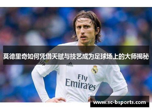 莫德里奇如何凭借天赋与技艺成为足球场上的大师揭秘