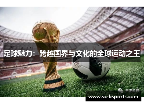 足球魅力：跨越国界与文化的全球运动之王