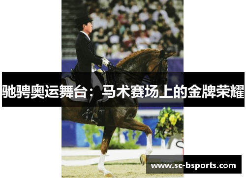 驰骋奥运舞台:马术赛场上的金牌荣耀 驰骋奥运舞台:马术赛场上的金牌荣耀