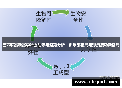 巴西联赛新赛季转会动态与趋势分析：俱乐部布局与球员流动新格局