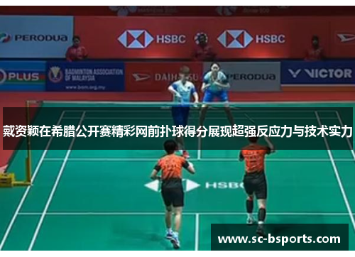 戴资颖在希腊公开赛精彩网前扑球得分展现超强反应力与技术实力