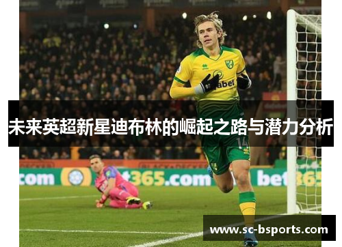 未来英超新星迪布林的崛起之路与潜力分析 未来英超新星迪布林的崛起之路与潜力分析