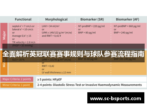 全面解析英冠联赛赛事规则与球队参赛流程指南 全面解析英冠联赛赛事规则与球队参赛流程指南