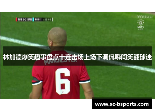 林加德爆笑趣事盘点十连击场上场下调侃瞬间笑翻球迷