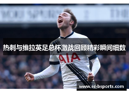 热刺与维拉英足总杯激战回顾精彩瞬间细数 热刺与维拉英足总杯激战回顾精彩瞬间细数