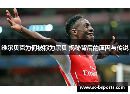 维尔贝克为何被称为黑贝 揭秘背后的原因与传说 维尔贝克为何被称为黑贝 揭秘背后的原因与传说