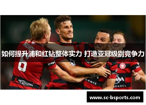 如何提升浦和红钻整体实力 打造亚冠级别竞争力 如何提升浦和红钻整体实力 打造亚冠级别竞争力