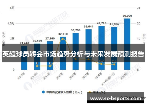 英超球员转会市场趋势分析与未来发展预测报告 英超球员转会市场趋势分析与未来发展预测报告