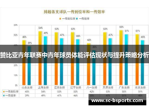赞比亚青年联赛中青年球员体能评估现状与提升策略分析