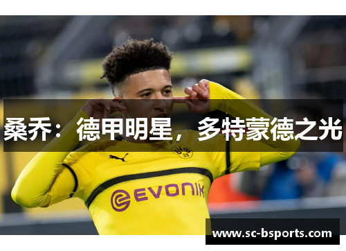 桑乔：德甲明星，多特蒙德之光