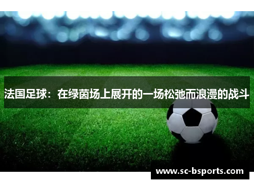 法国足球：在绿茵场上展开的一场松弛而浪漫的战斗