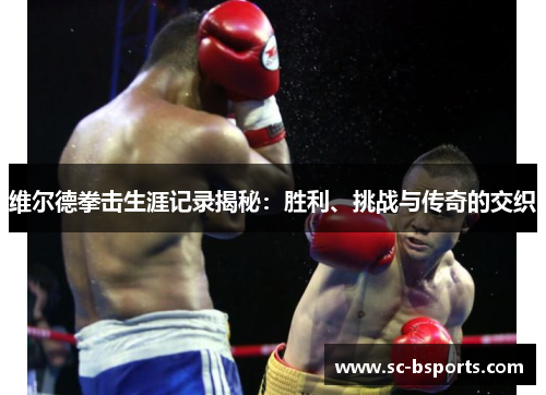 维尔德拳击生涯记录揭秘:胜利、挑战与传奇的交织 维尔德拳击生涯记录揭秘:胜利、挑战与传奇的交织