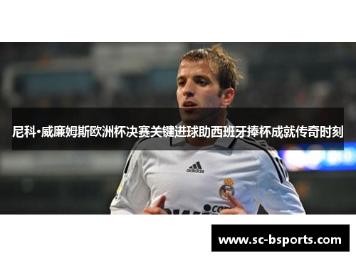 尼科·威廉姆斯欧洲杯决赛关键进球助西班牙捧杯成就传奇时刻 尼科·威廉姆斯欧洲杯决赛关键进球助西班牙捧杯成就传奇时刻