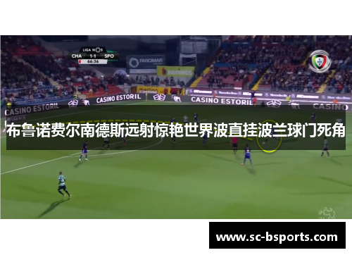 布鲁诺费尔南德斯远射惊艳世界波直挂波兰球门死角