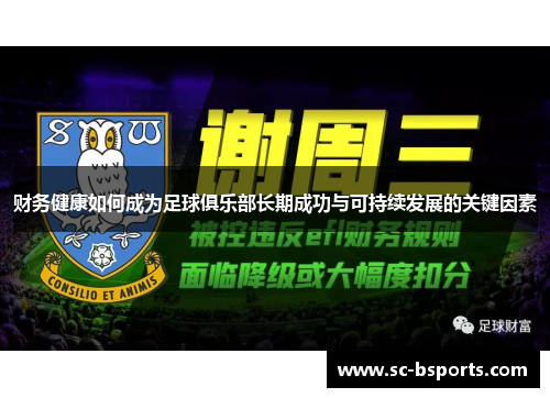 财务健康如何成为足球俱乐部长期成功与可持续发展的关键因素