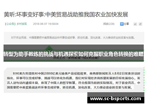 转型为助手教练的挑战与机遇探索如何克服职业角色转换的难题