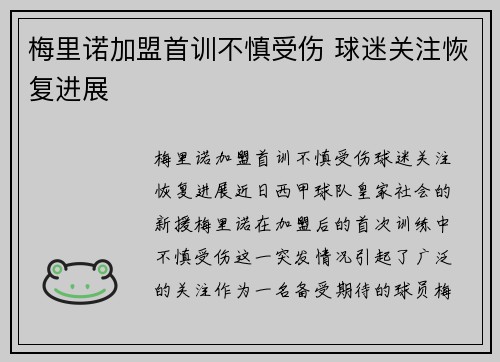 梅里诺加盟首训不慎受伤 球迷关注恢复进展 梅里诺加盟首训不慎受伤 球迷关注恢复进展