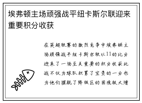 埃弗顿主场顽强战平纽卡斯尔联迎来重要积分收获
